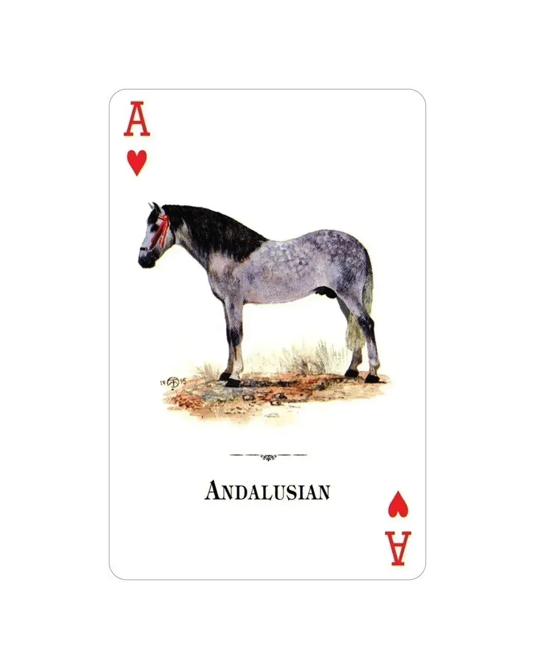 Horses of the World Playing Cards