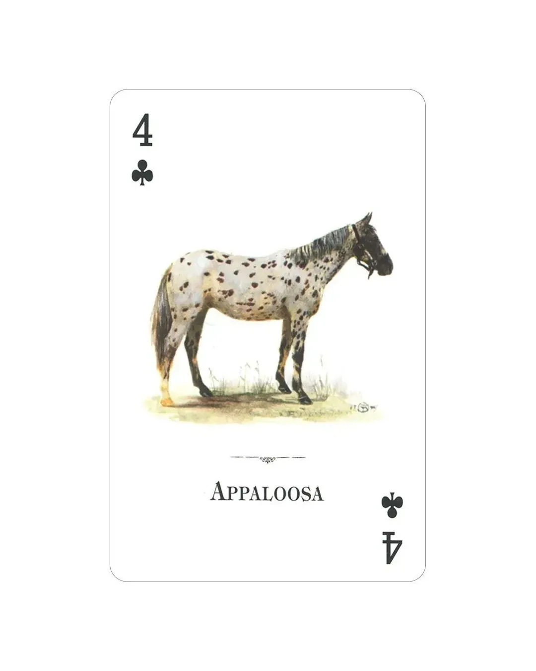 Horses of the World Playing Cards